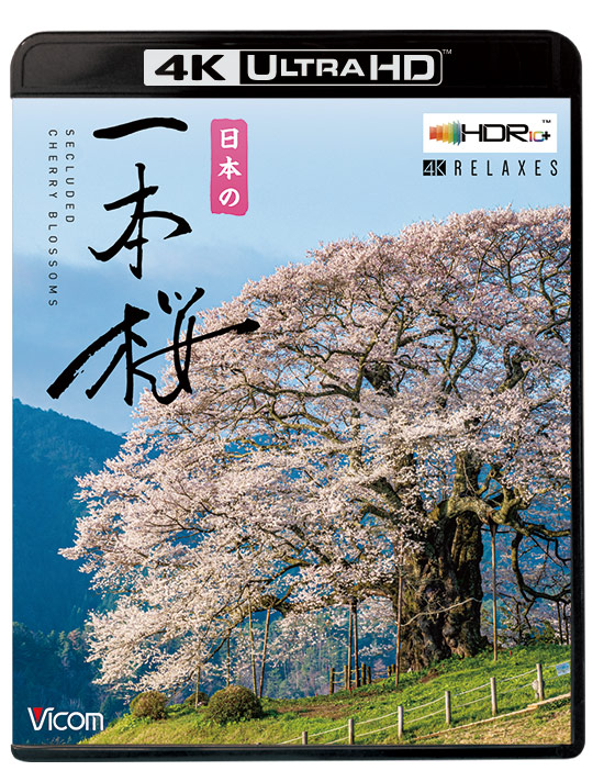 日本の一本桜【4K Ultra HDブルーレイ】